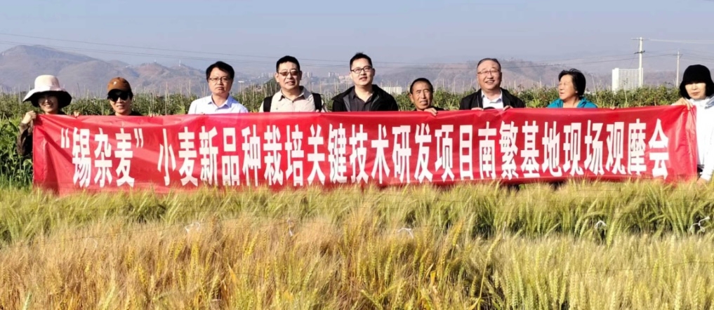 《锡杂麦”小麦新品种栽培关键技术研发》项目组圆满完成南繁基地调研交流活动
