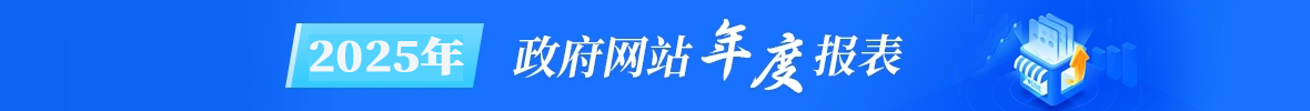 2025年度政府网站工作报表