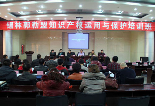 锡网上十大博彩公司网站举办全盟知识产权运用与保护培训班